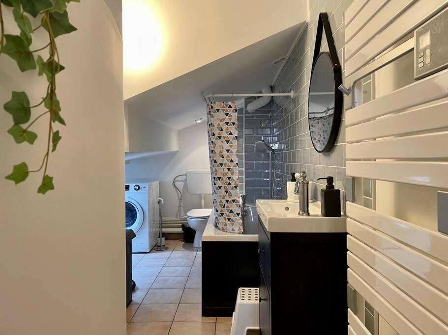 Belle Isle - Grand Appart - 6 Places - T3 - 72M2 Metz Exterior foto
